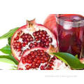 Fruit Punica Granatum Linn Powder , Pomegrante Juice Powder